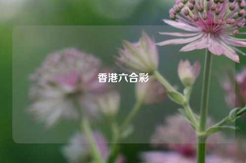 香港六合彩