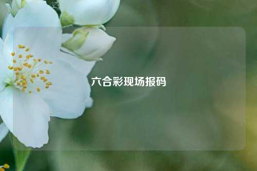 六合彩现场报码