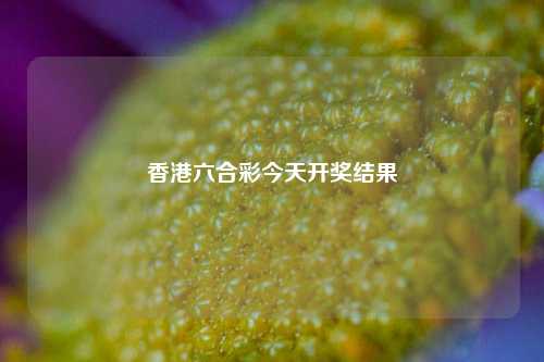 香港六合彩今天开奖结果
