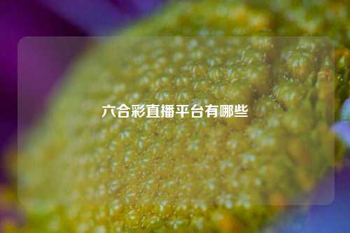六合彩直播平台有哪些