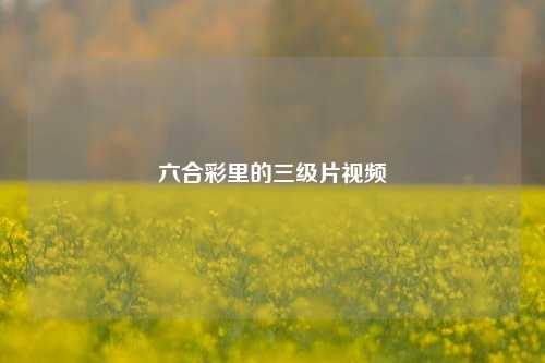 六合彩里的三级片视频