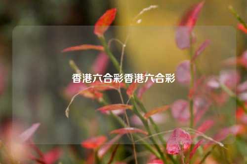 香港六合彩香港六合彩
