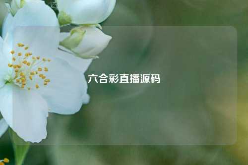 六合彩直播源码