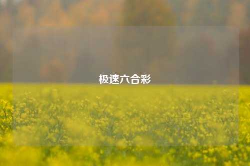 极速六合彩