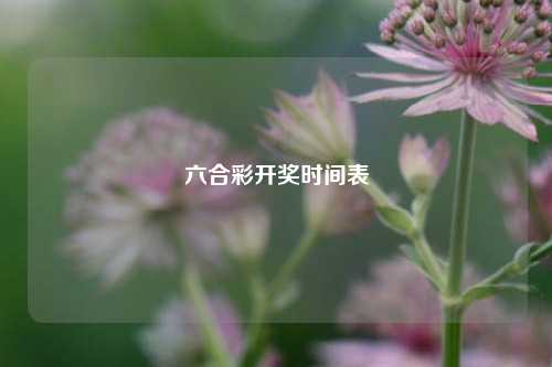 六合彩开奖时间表