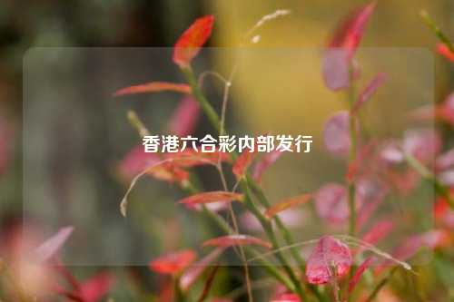 香港六合彩内部发行