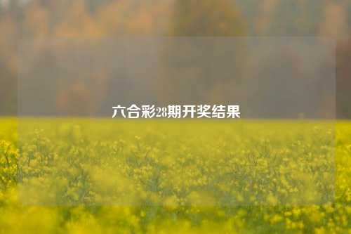 六合彩28期开奖结果