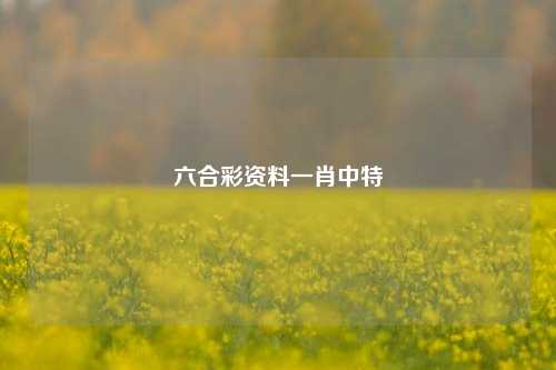 六合彩资料一肖中特
