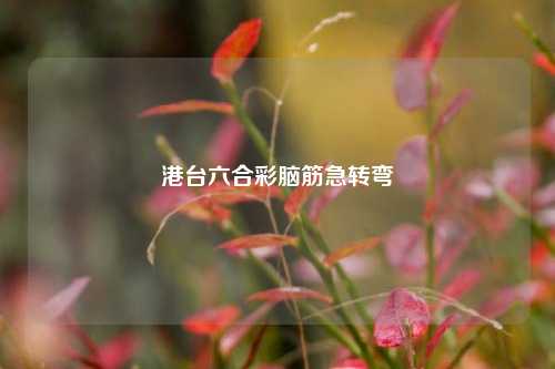 港台六合彩脑筋急转弯