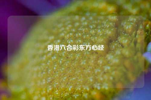 香港六合彩东方心经