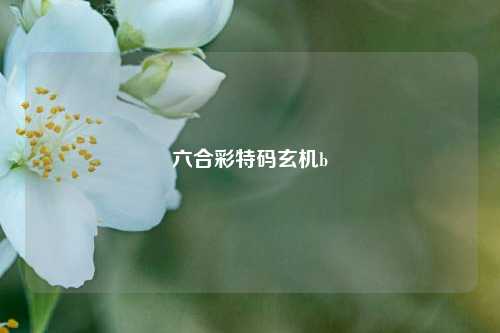 六合彩特码玄机b