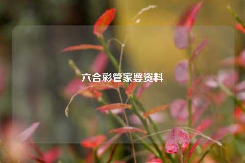 六合彩管家婆资料