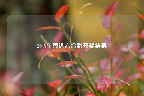 2019年香港六合彩开奖结果