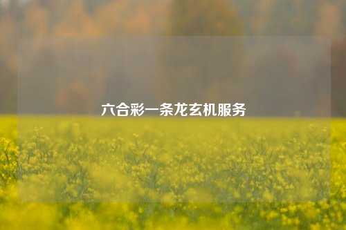 六合彩一条龙玄机服务