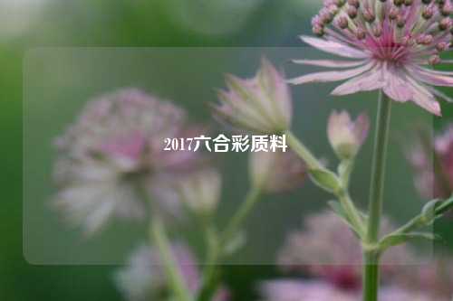 2017六合彩质料