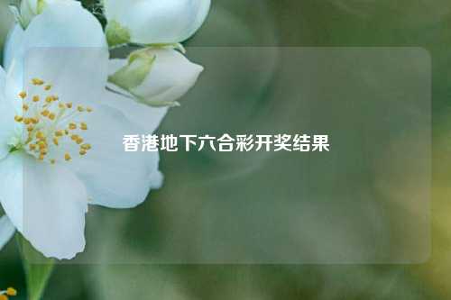 香港地下六合彩开奖结果