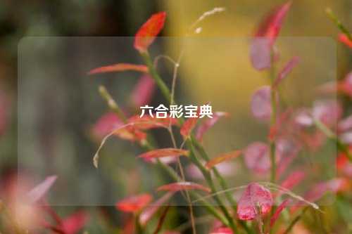 六合彩宝典