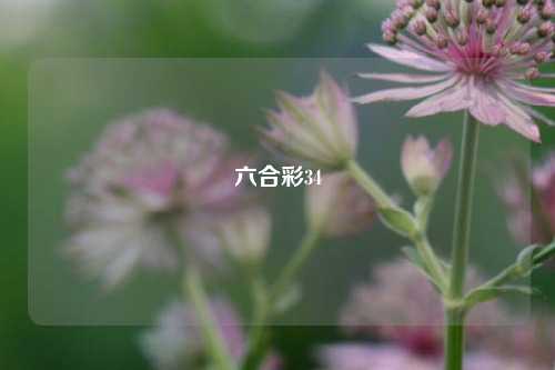 六合彩34