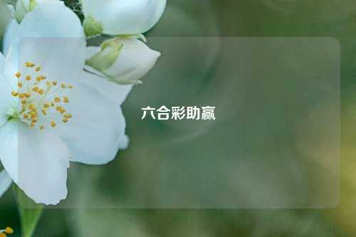 六合彩助赢