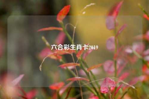 六合彩生肖卡2019