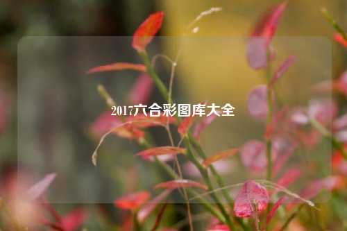 2017六合彩图库大全