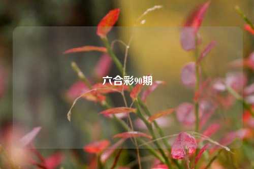 六合彩90期