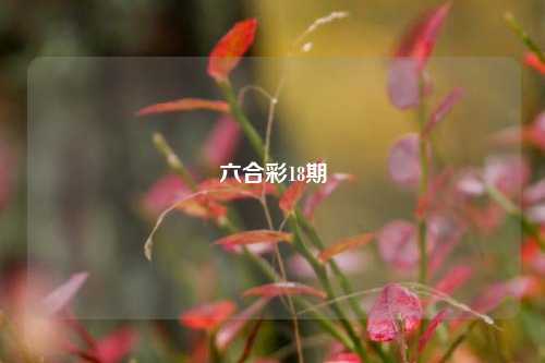 六合彩18期