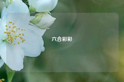六合彩彩