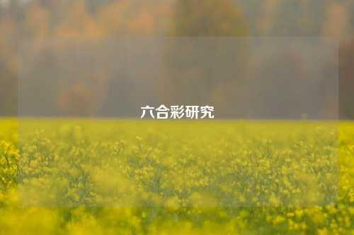 六合彩研究