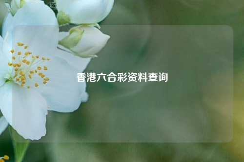 香港六合彩资料查询