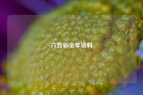 六合彩全年资料